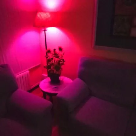 Apartment Rincon De Los Colores *